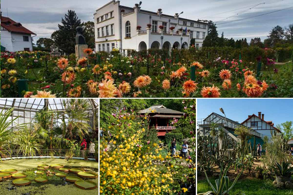 The botanical garden from Cluj-Napoca